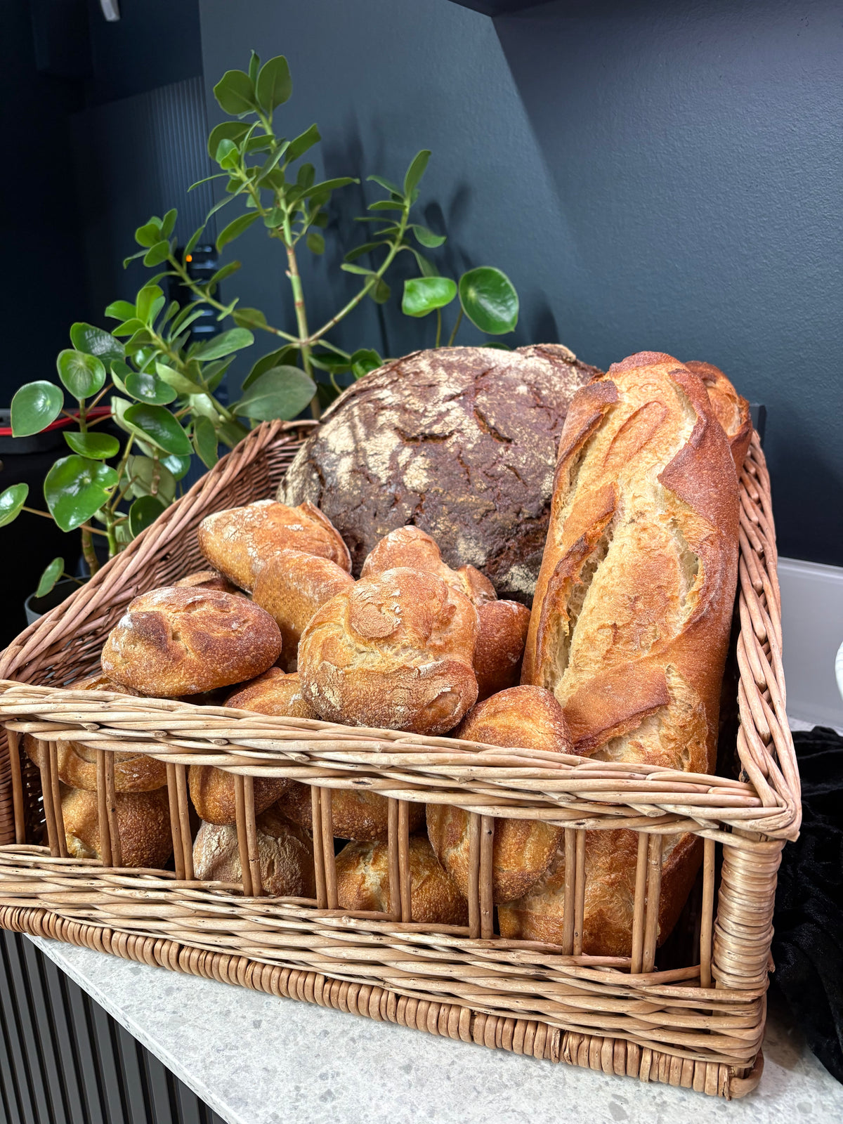 Ein Weidenkorb, gefüllt mit verschiedenen rustikalen Brotsorten, darunter Baguettes und ein Rundbrot, steht auf einer Küchenarbeitsplatte neben einer grünen Blattpflanze. Im Hintergrund spiegelt das hochwertige Fissler-Edelstahl-Kochgeschirr die Tradition der Marke wider: Präzisionstechnik und zeitloses deutsches Design.