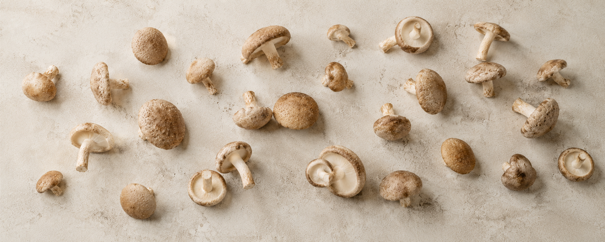 A selection of whole brown mushrooms with stems, artfully arranged on a softly textured beige surface—an ideal ingredient for creating exceptional dishes with Fissler’s premium stainless steel cookware, engineered for enduring performance and timeless design since 1845.