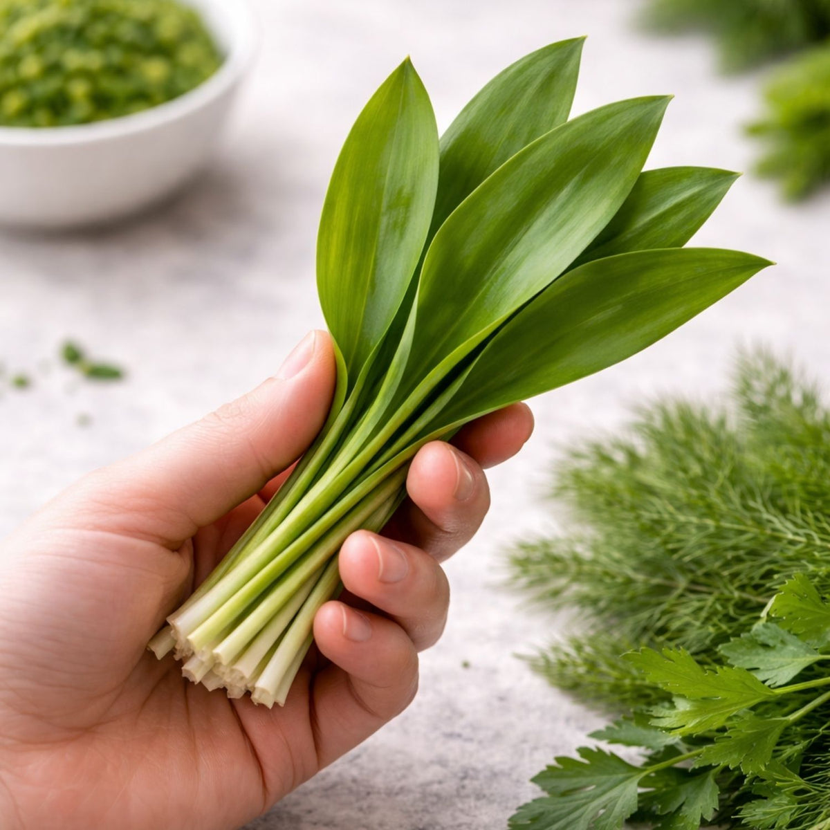 Eine Hand hält frische Bärlauchblätter über eine helle Fläche, im Hintergrund sind Kräuter und grüne Soße neben hochwertigem Fissler-Kochgeschirr zu sehen.