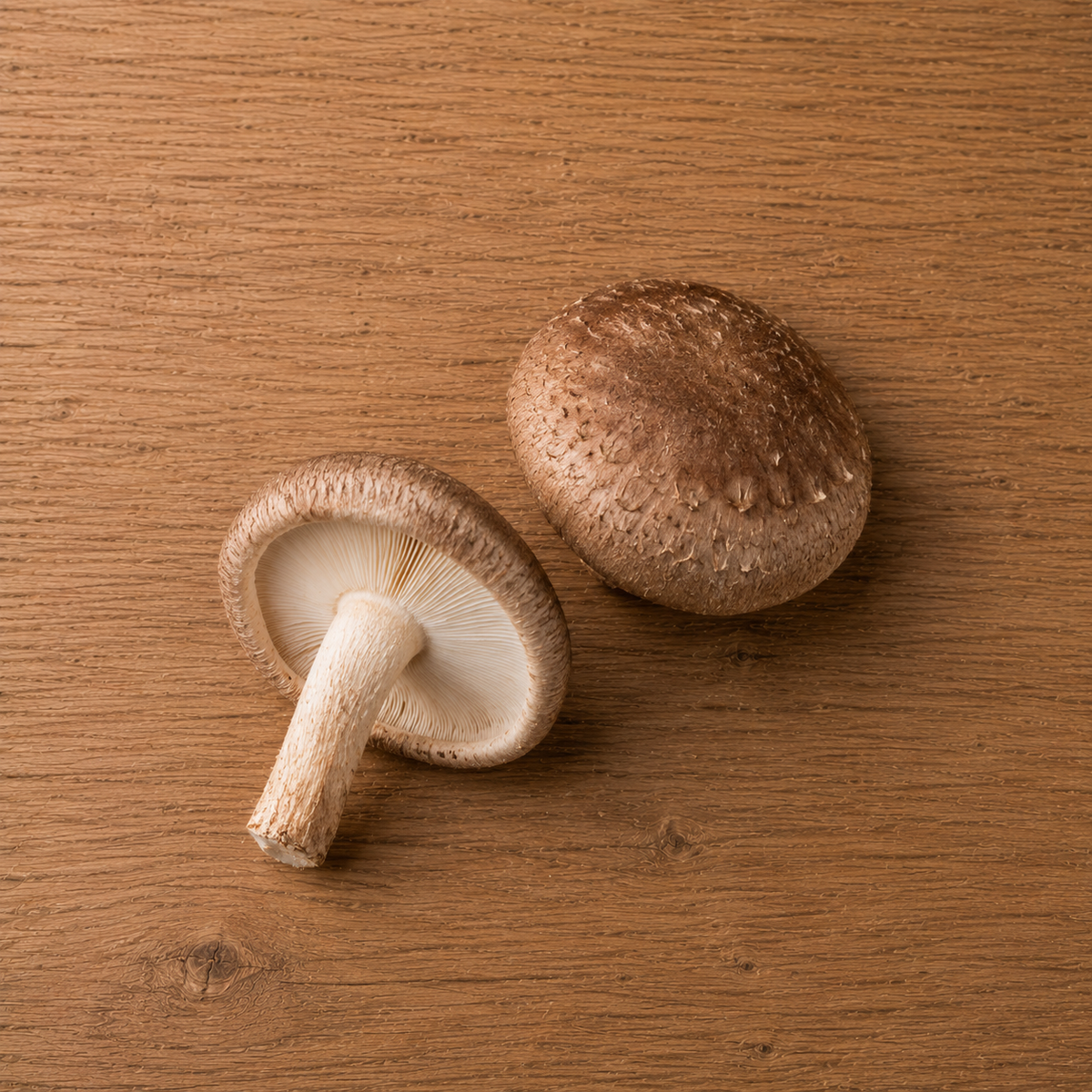 Two brown shiitake mushrooms rest on a wooden surface—one reveals its delicately fanned gills and sturdy stem, while the other displays its curved cap. Shot in elegant simplicity, the image highlights freshness and quality ingredients, ideal for preparing refined dishes with Fissler’s precision-engineered cookware.